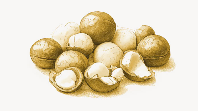 Les aliments les plus riches en vitamine B1