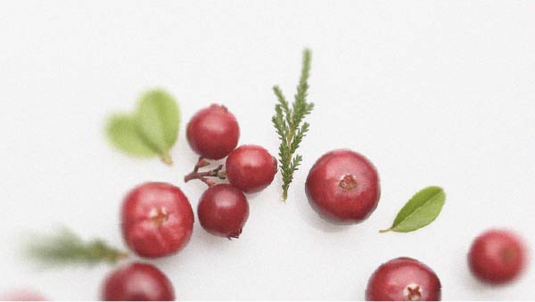 Le lien entre le cranberry et les infections urinaires